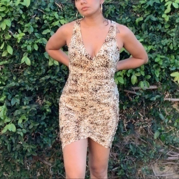 Nwt Leopard Print Bodycon Dress - Picture 6 of 8